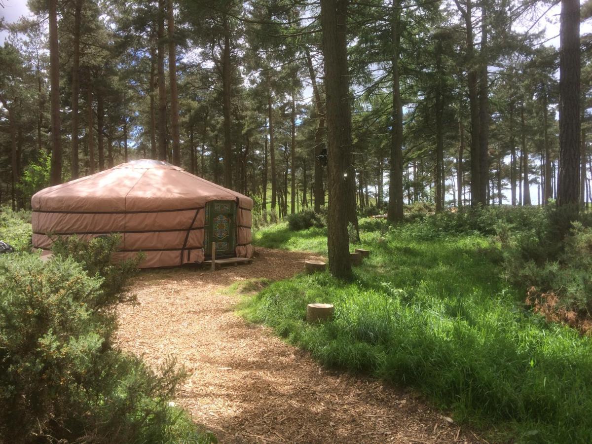 Penbedw Uchaf Estate - Rural Retreats, Tennis Mold Exterior foto