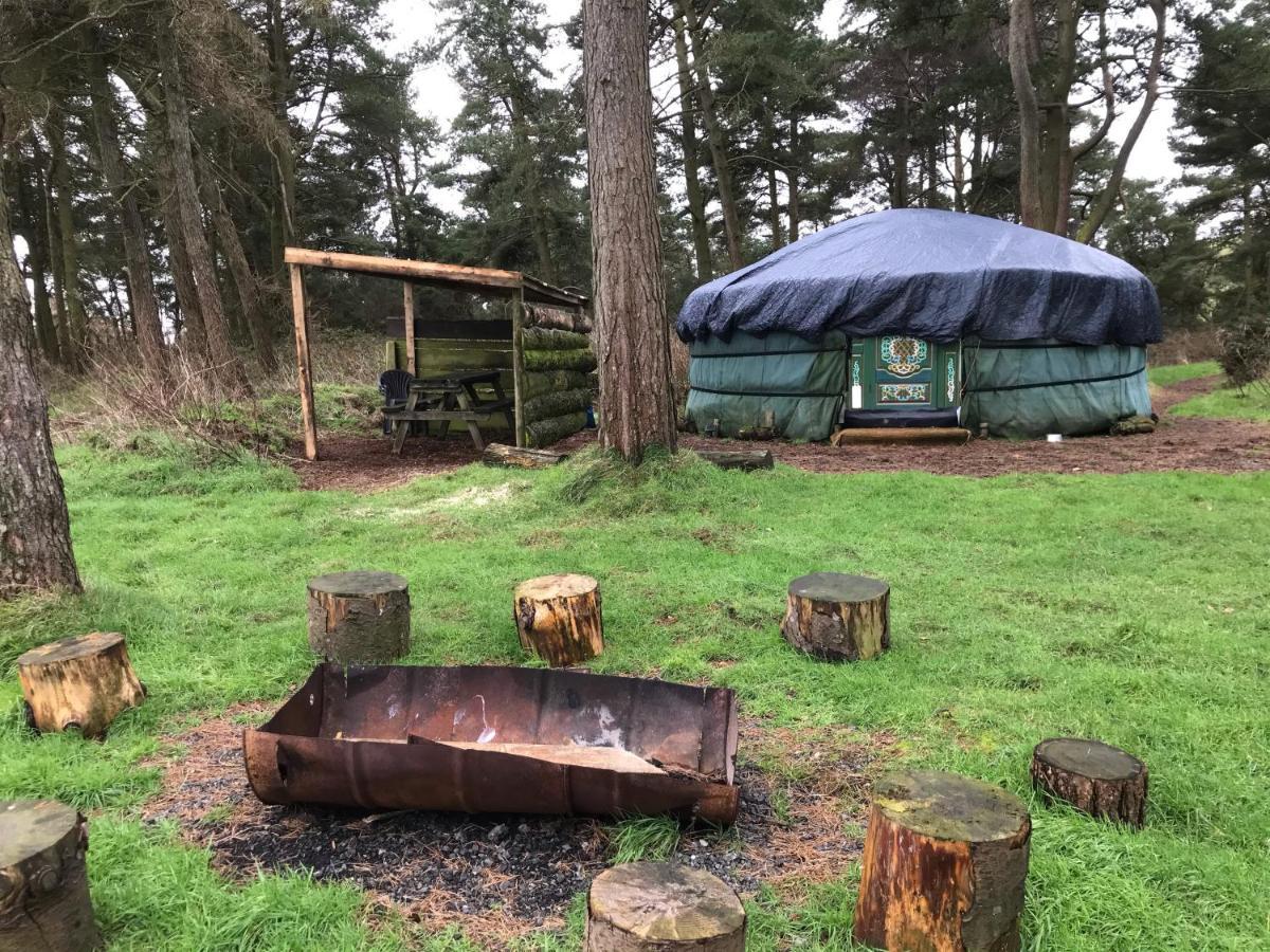 Penbedw Uchaf Estate - Rural Retreats, Tennis Mold Exterior foto